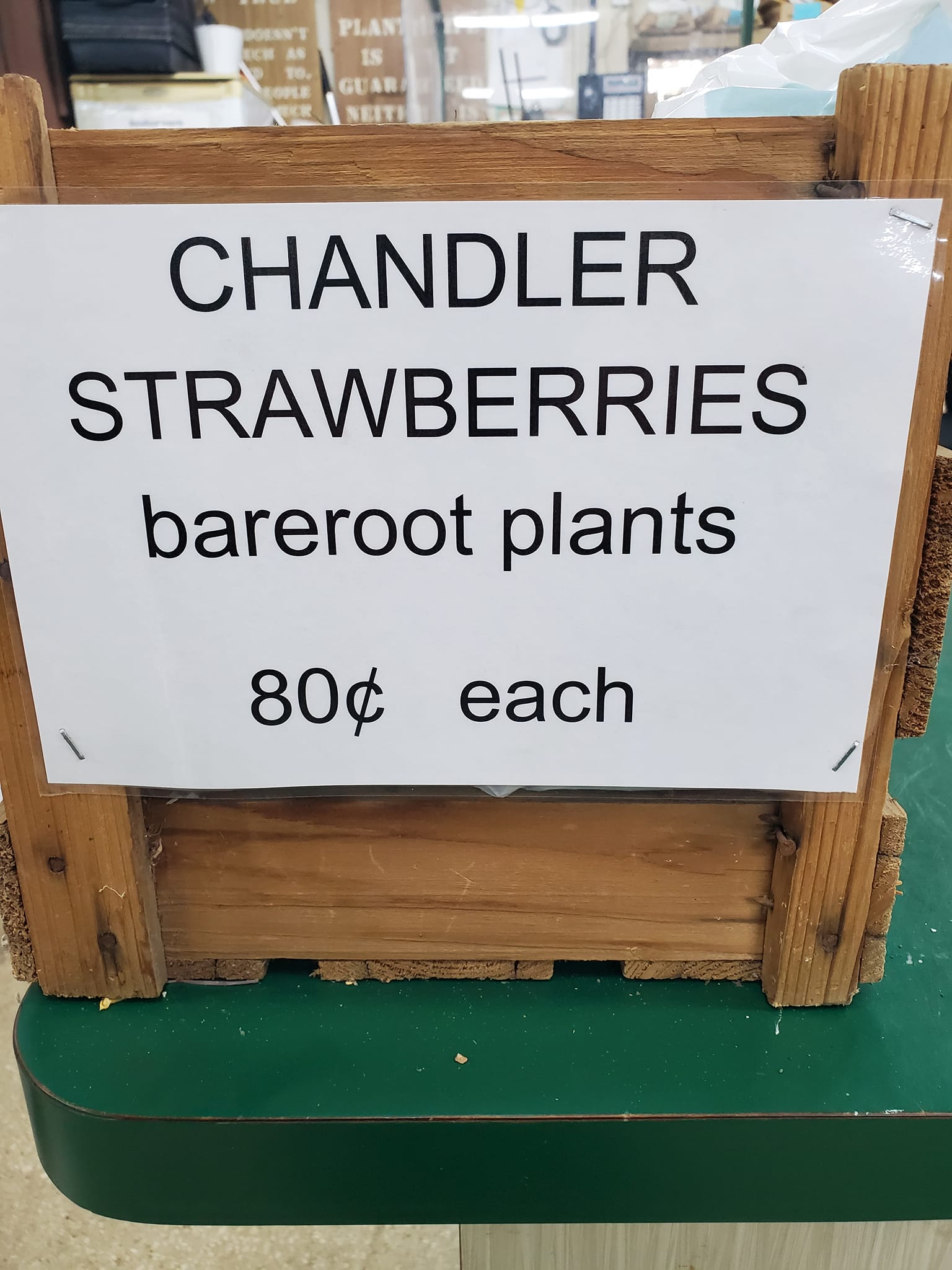 Chandler Strawberries