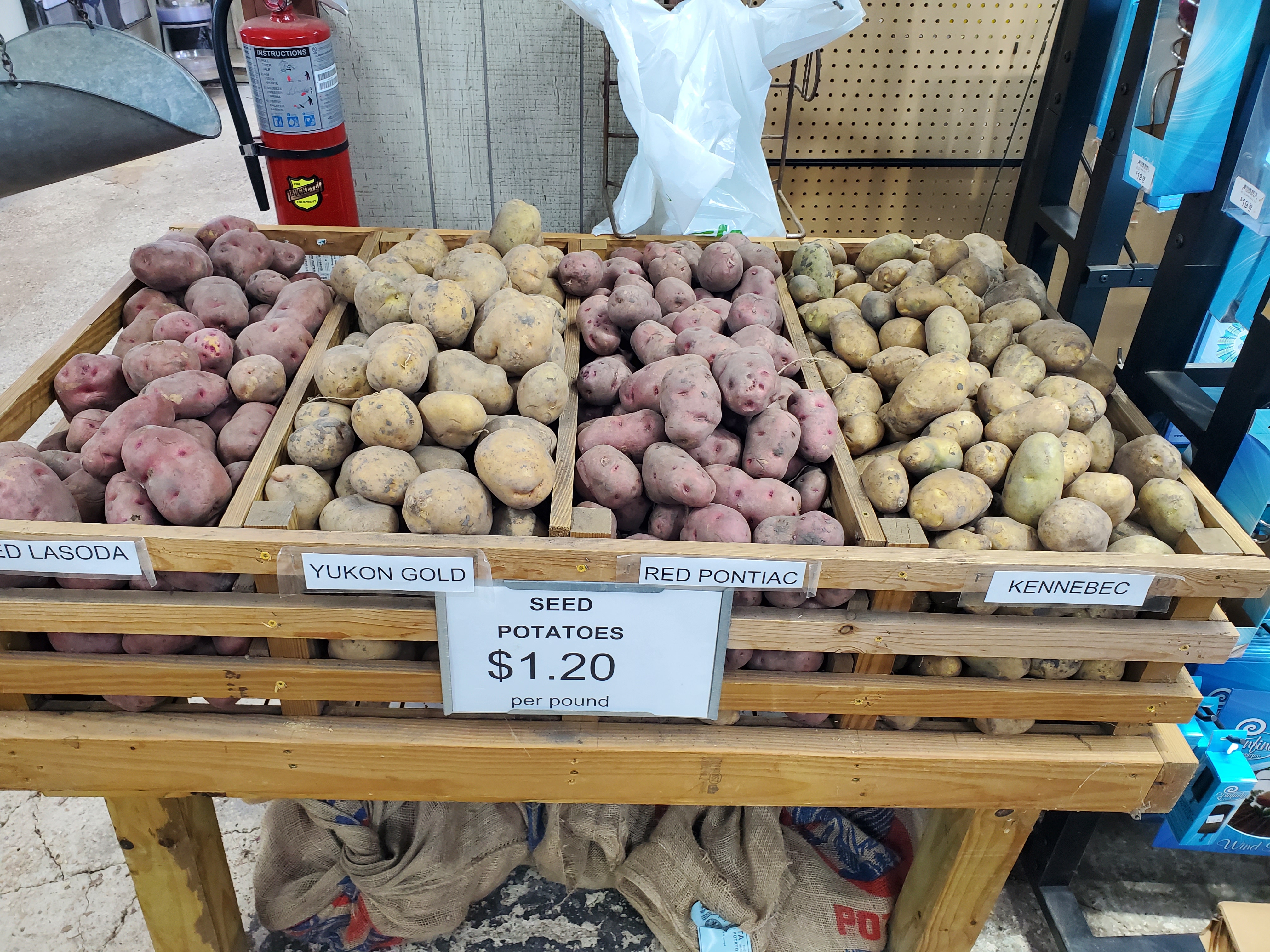 Potatoes